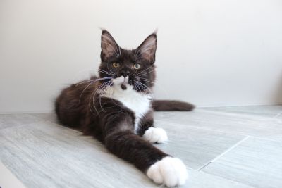 Chloe